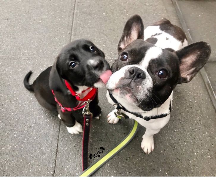 ab974a53e6b6be97ec4389e4d2