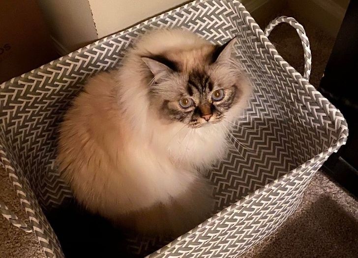 ab9a805e058cdd2ebfb3d13640