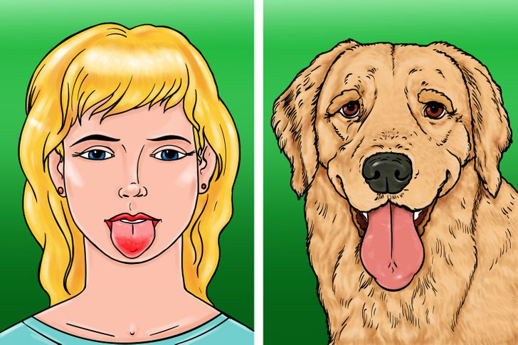 aba2795917a35bb428775be689 aba2795917a35bb428775be689