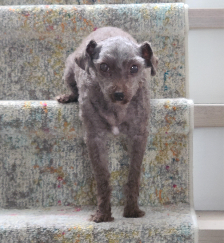 aba6ec5e3db7be01b27066f7ad