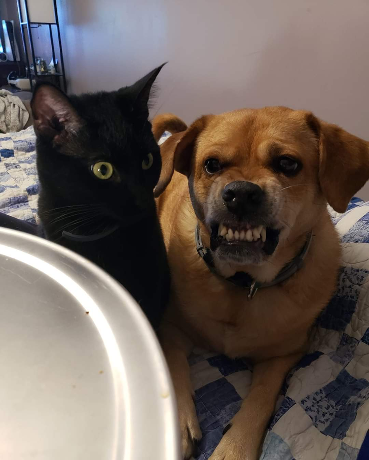 abab4f5dc382eb78ec9ae8f12f