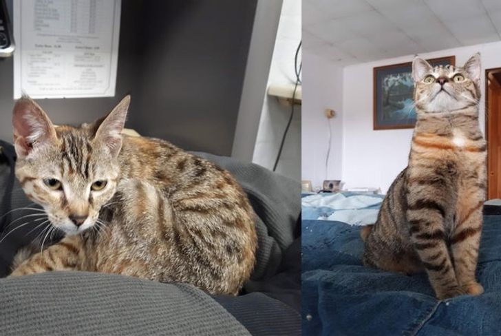 abab5c53b89857eac71f52ce52