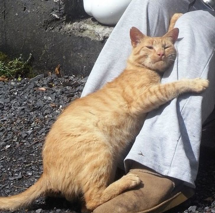 abb090507186dc87cb159cbab1