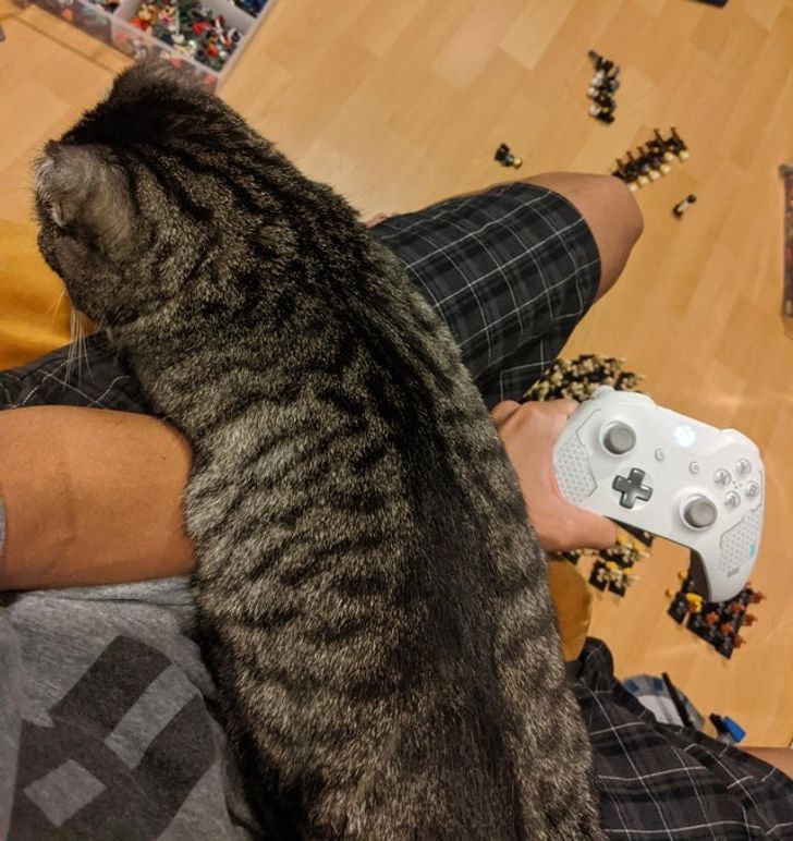 abb53a5c889aff86cded4ad4cc