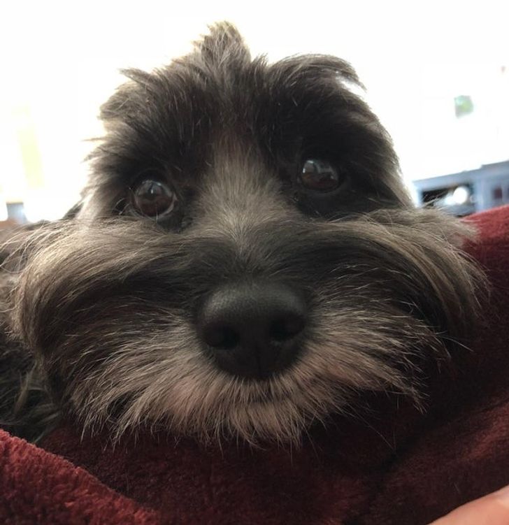 abbd605380ab4b6b026df94b45