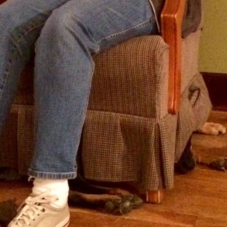 abc05158848a53ba6094797bf4