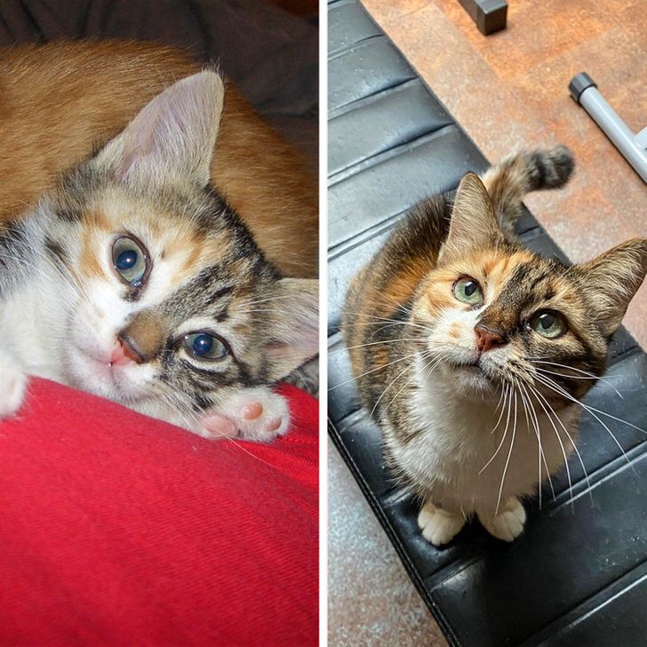 abc49a5befb3d070245d930371