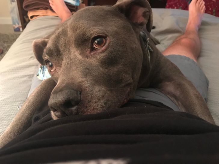 abc5d0505c8b43fb1ac14f11e6