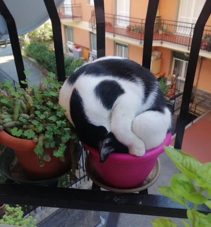 abca6f52de965bdcc1a9db5ae4