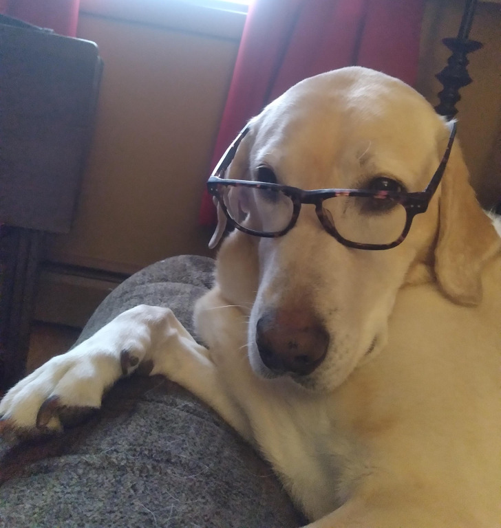 abca90550c8d175cb9bf41fb46