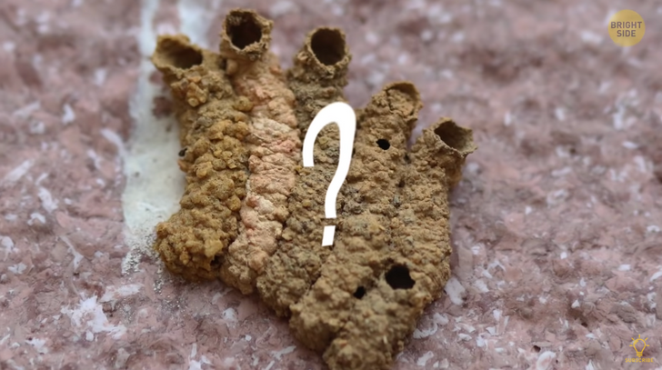 abcaaf56daa99e31bd44d4bcb9