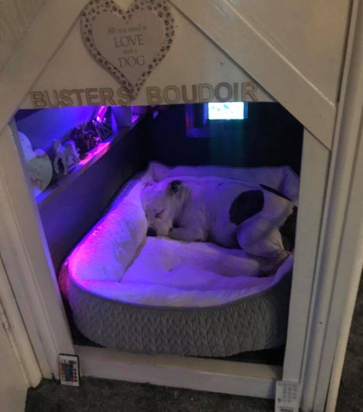 abde5b545a893de469a6e39451