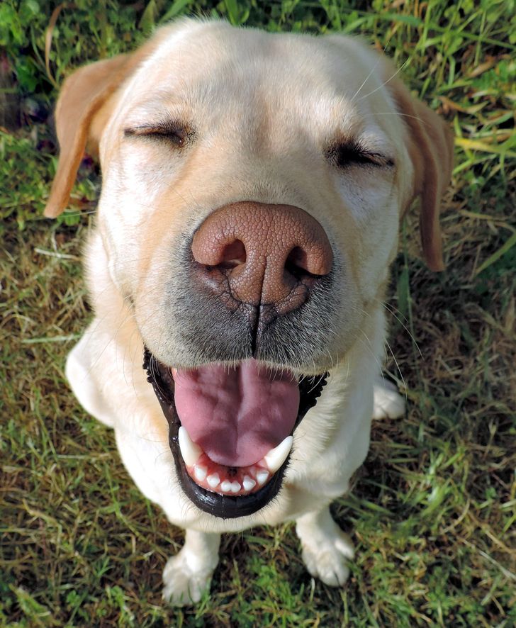 abe00d57b988f34334beb60644