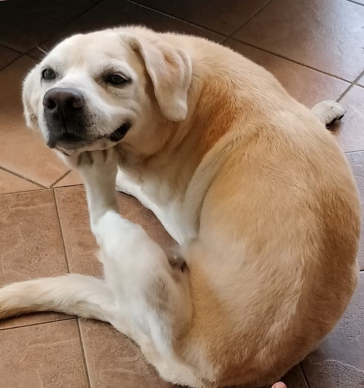 abe21458839e1bfff2ee370ad8