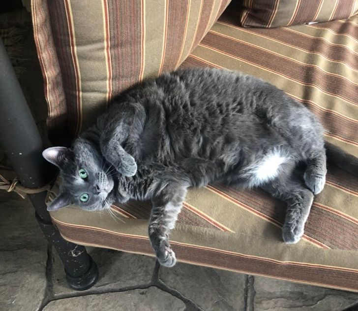 abec7459d78720ec7b92532791