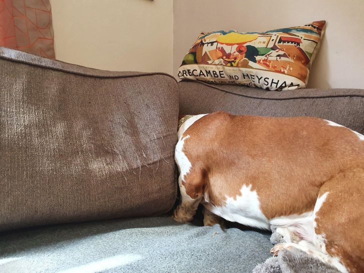 abf2205448b6896dd0281ff1d1