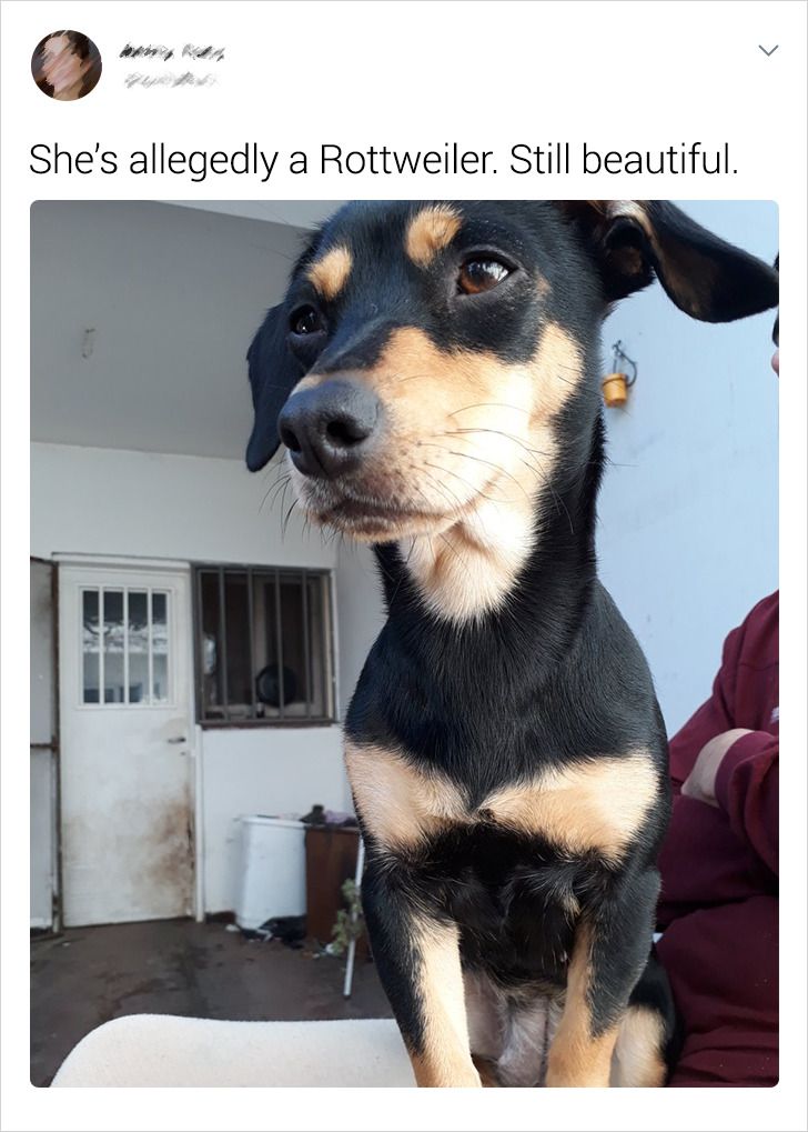 abf7c0594e88f89ecb0e94d7c9