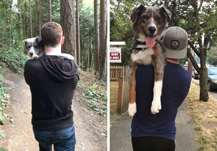 abfc855ebbb6c21a87b817a7e6