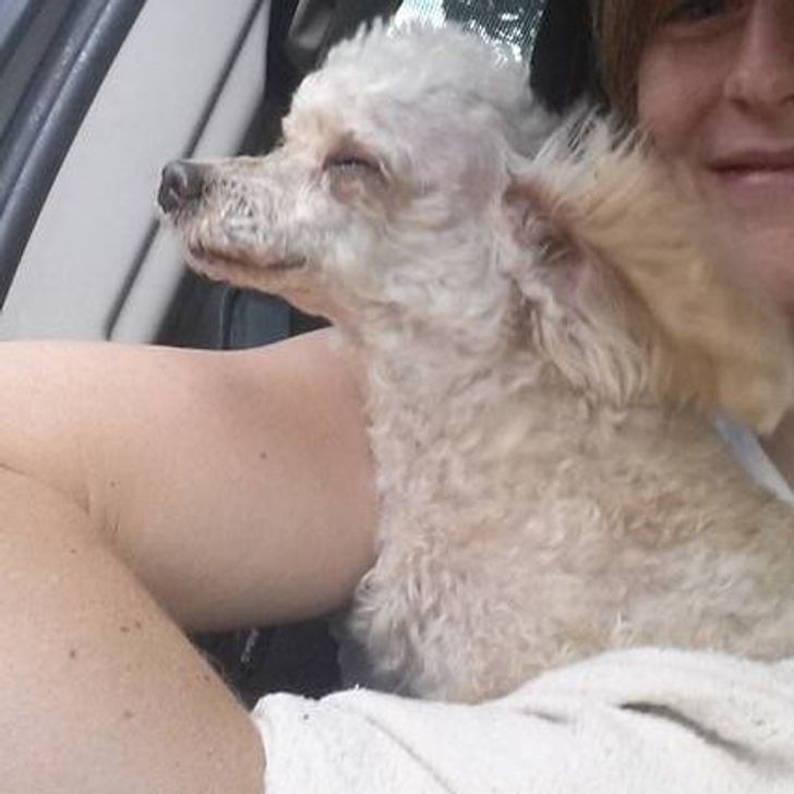 abfdde518abad67b6e26456488