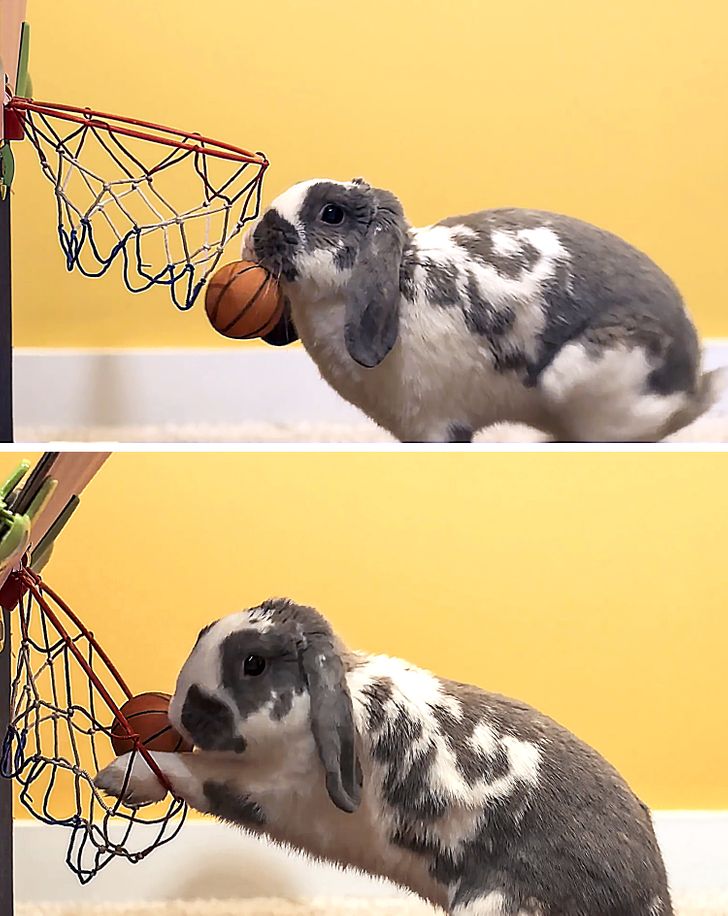 ac0a81570d84a7f649408a1c28