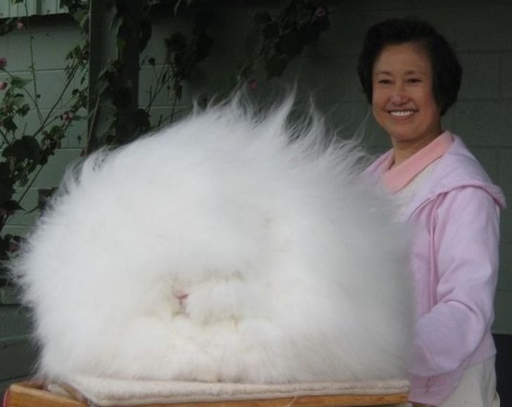 ac0b5c5296ac78041d21f36325