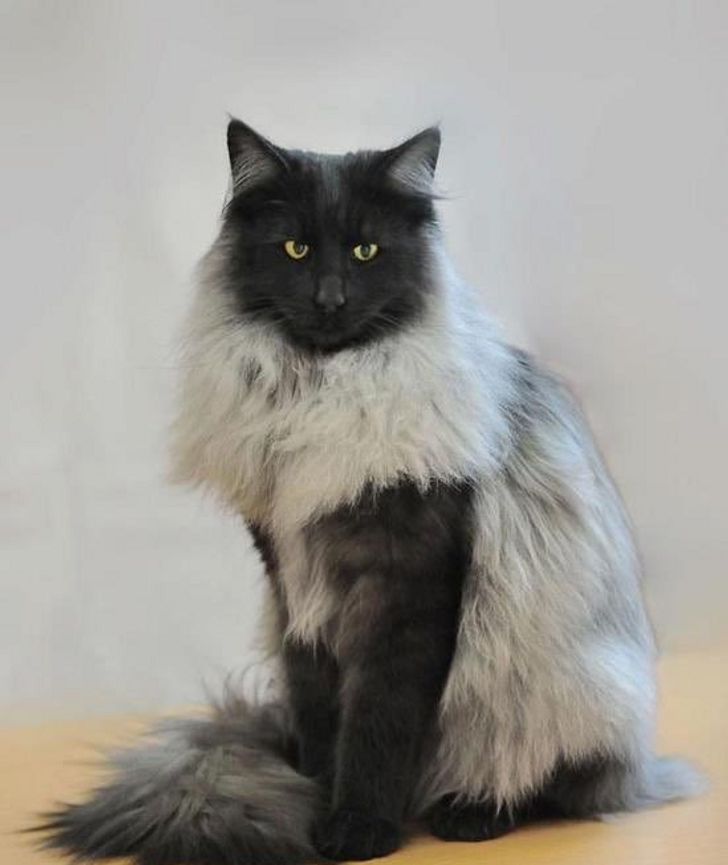 ac148c5428baaa367fa3b5f97a