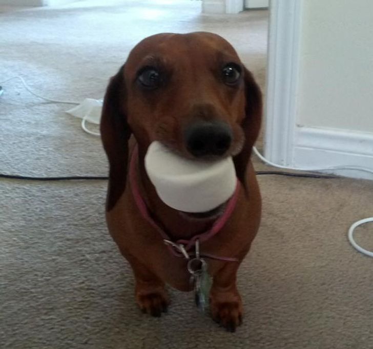 ac189057e6b5eb8080521b2e36