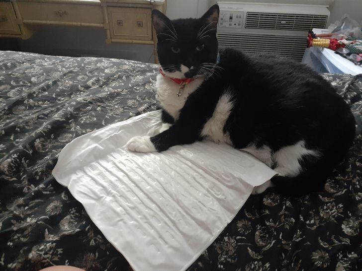 ac2be35e5daa1d025bce5cc835