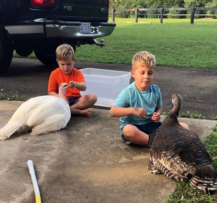 ac2df65d79a3ae6c59d29bc3f3