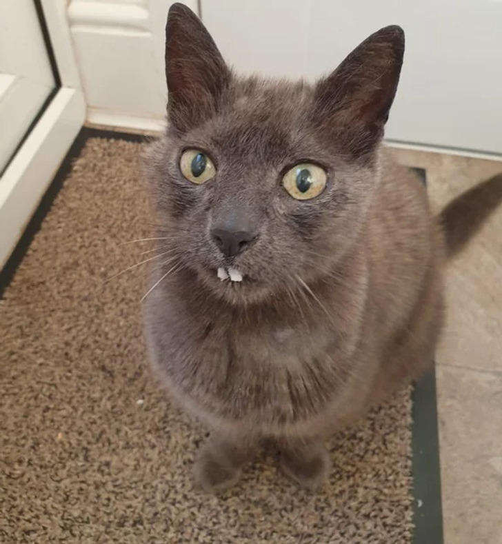 ac37bb561b9f93ad8be7f8e662