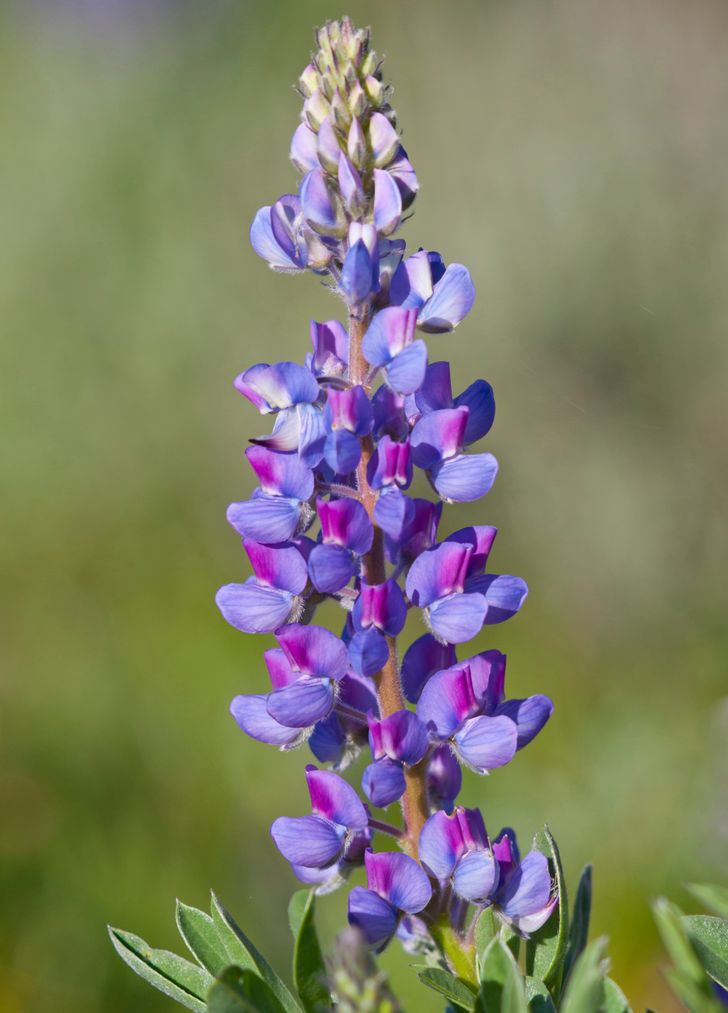 ac39ea582b89ea1dae109dba7f