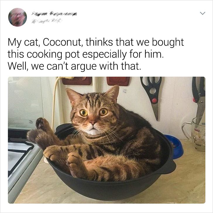 ac43f754f899b0a7af01c0ea18