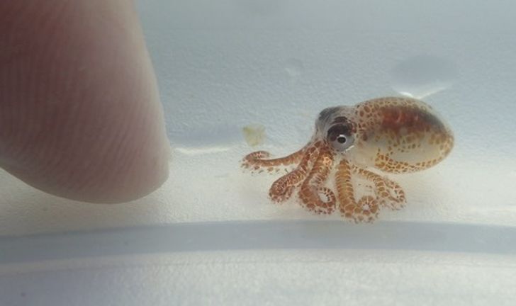 ac48ed564caf929a4e1cb18b28