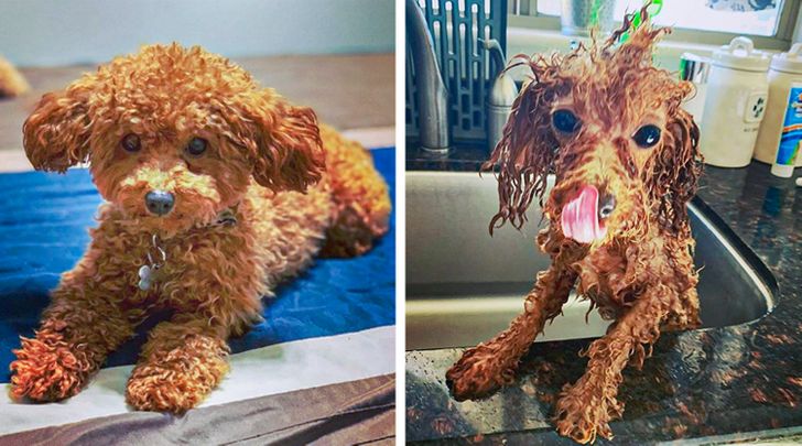 ac58225cdabdc6b783f3f9c55d