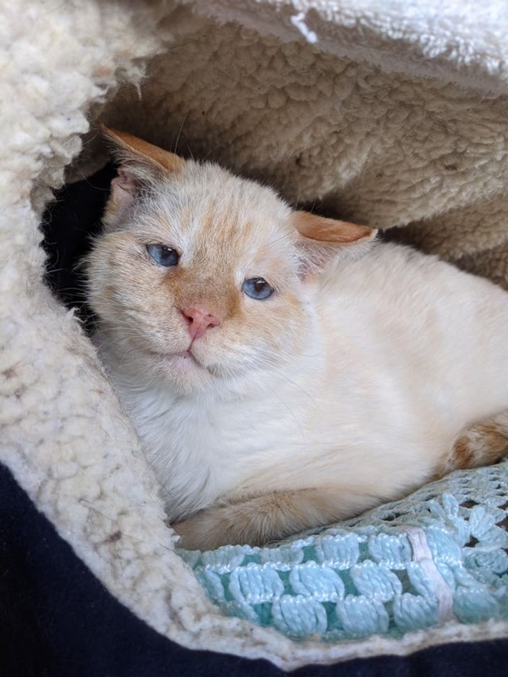 ac591b50be8b2cd05f267899bf