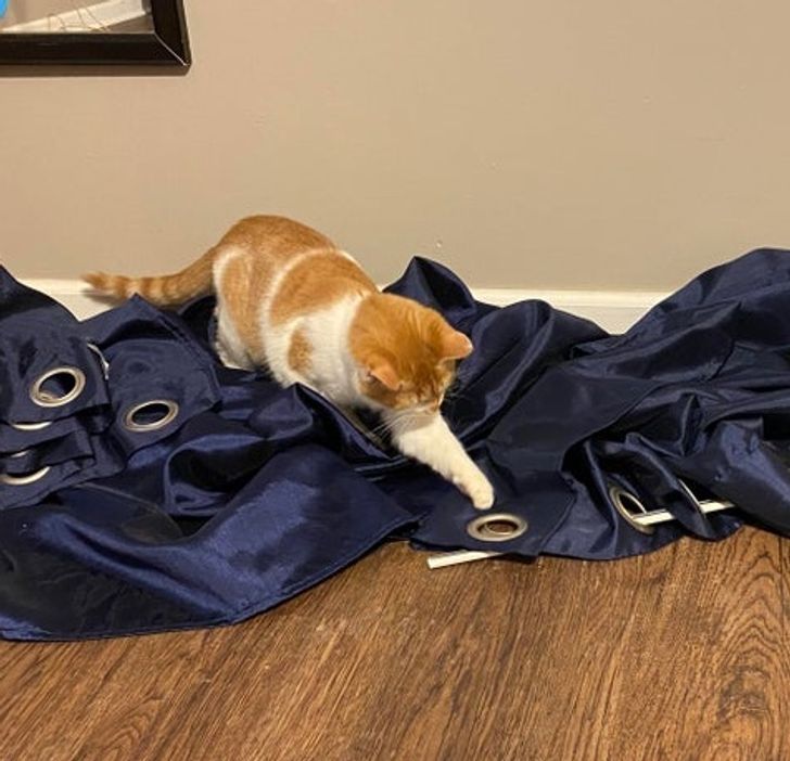 ac59a950f2b0d3d6a05abf618e