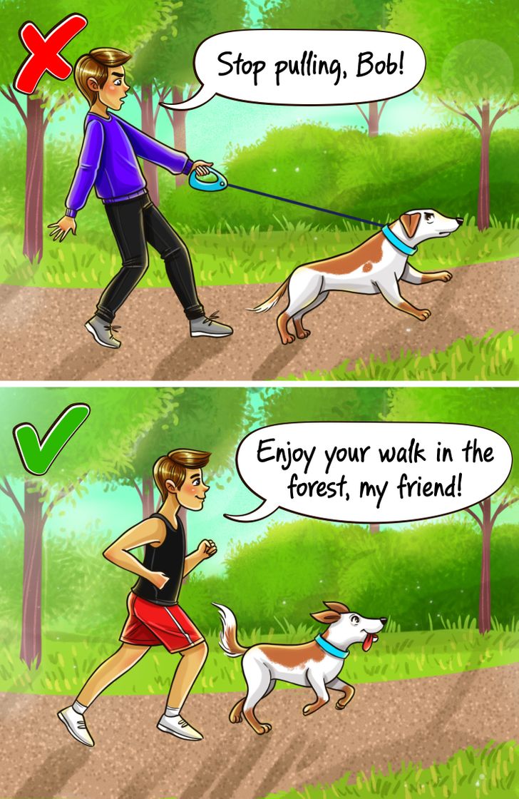 ac62185ca4948ed1567d3bafa2