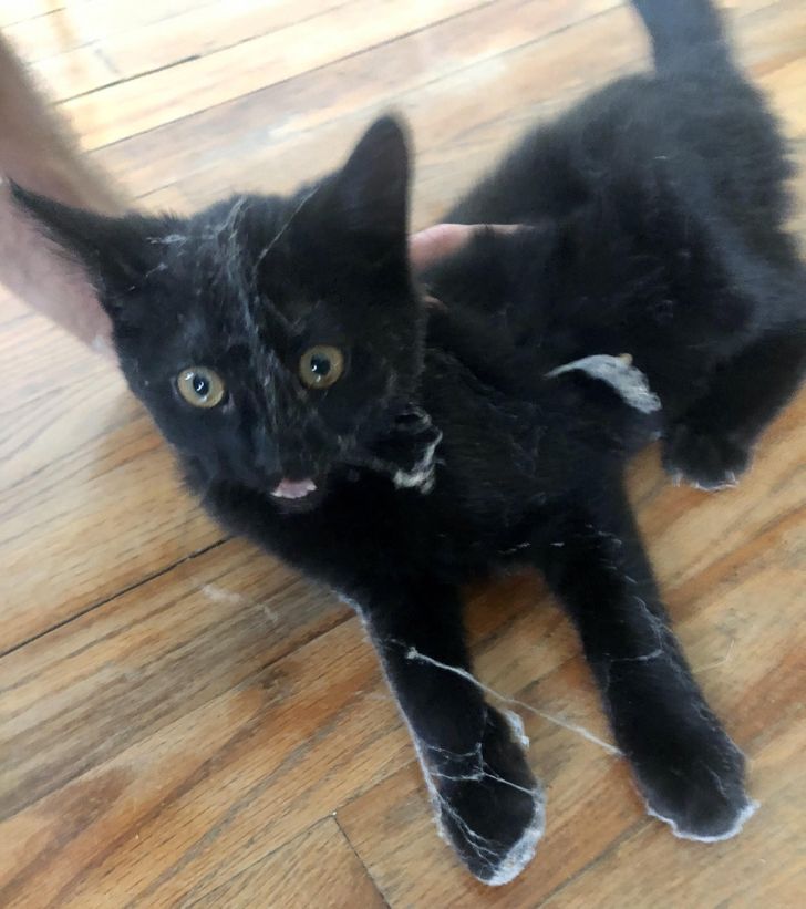 ac63f15c4c8570473dec9ce962