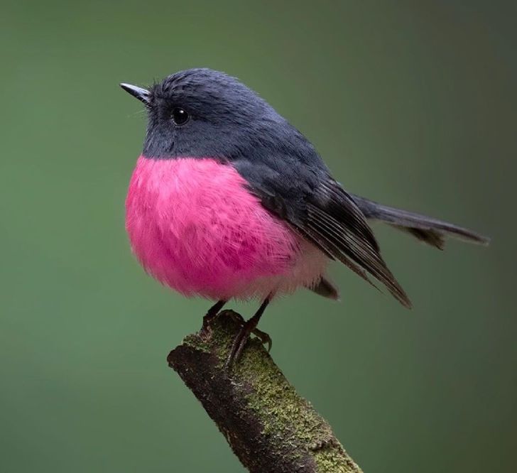 ac658f5cb7ad3e3244367c6522