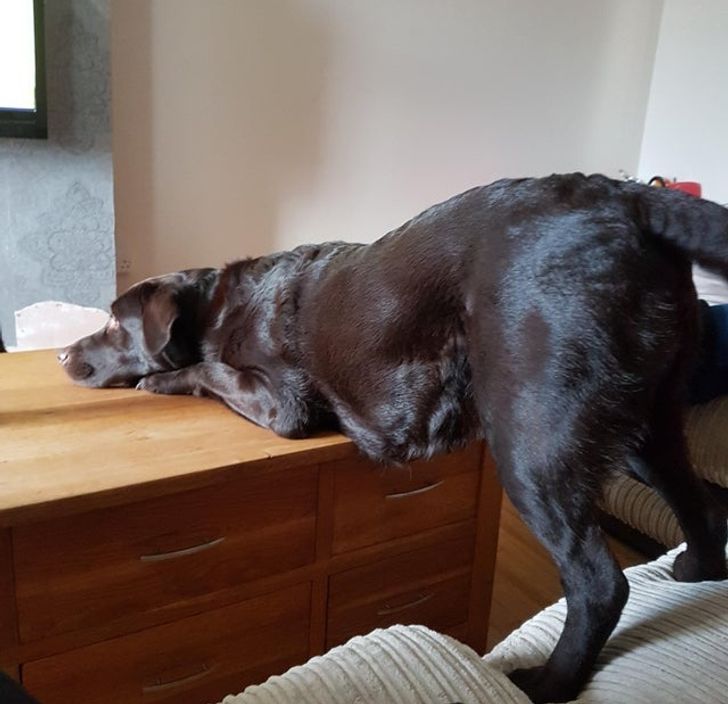 ac669e5608a00c63169a686db3