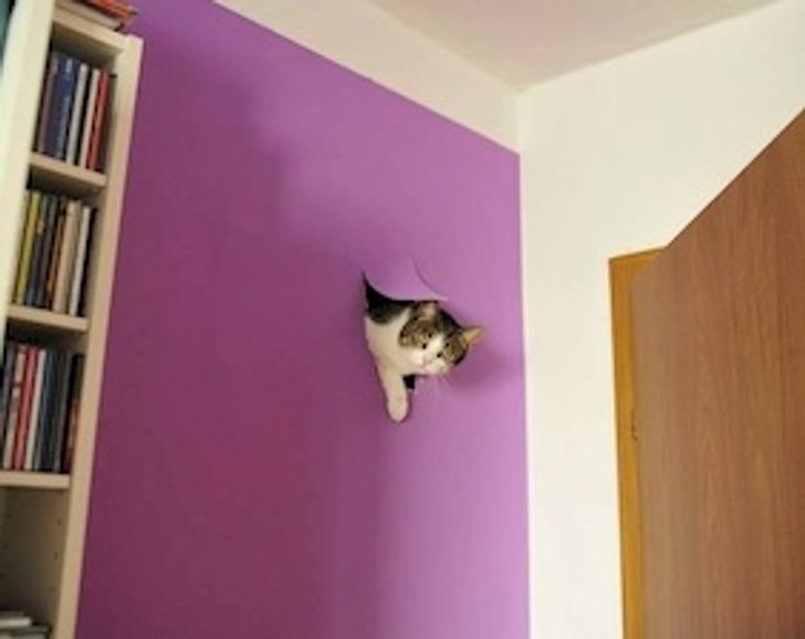 ac71fc56e8b847204ea1e16d11