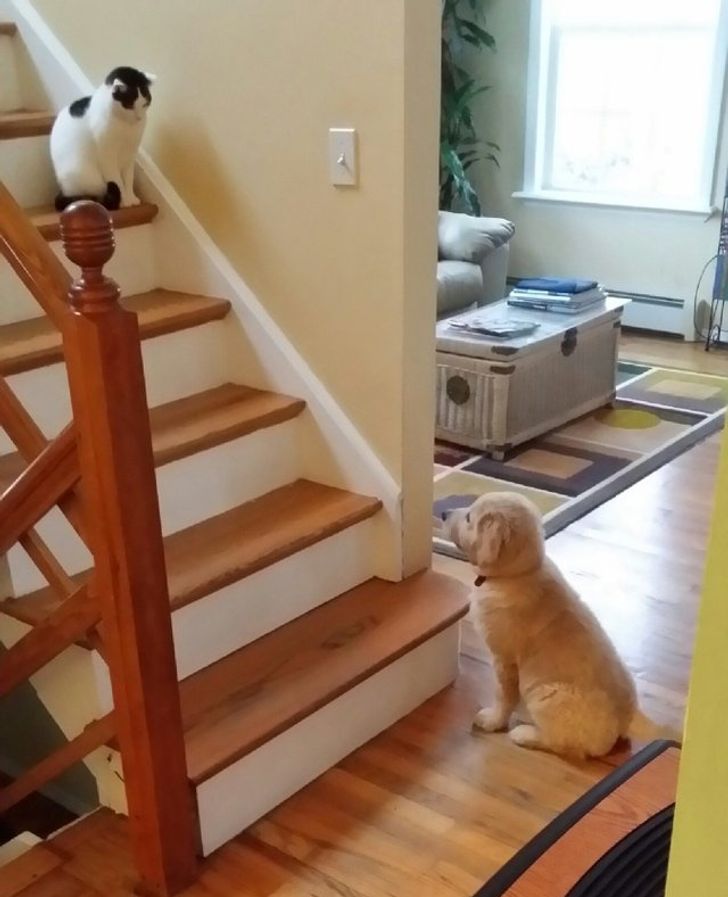 ac73305f17bb0cd05d76c2683d