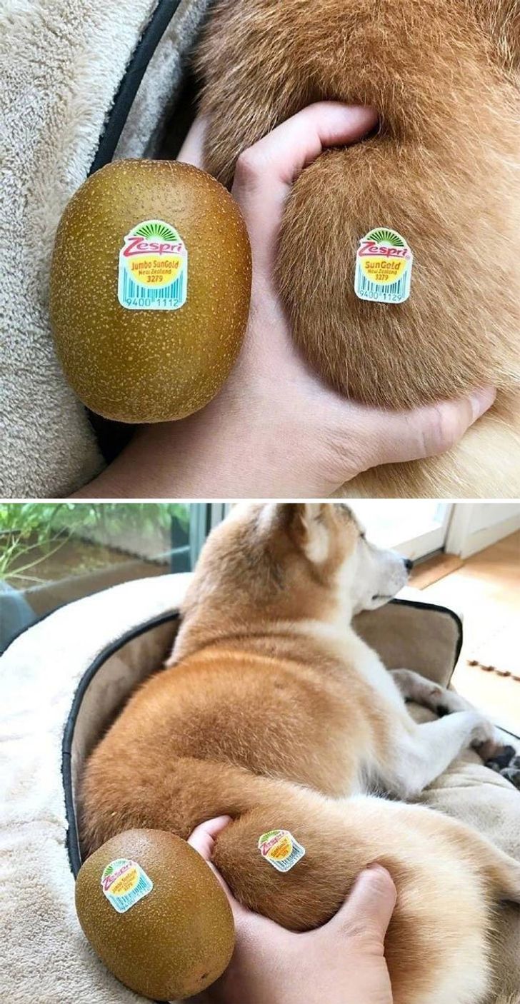 ac77535b5f86bad58b29074a40