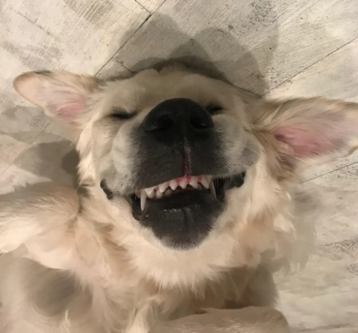 ac778450c0ad55d8a190965de1