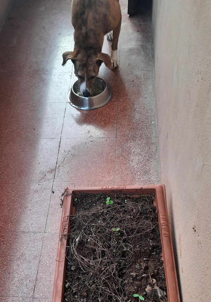 ac791d54fd8d4fbc16bff25138 ac791d54fd8d4fbc16bff25138