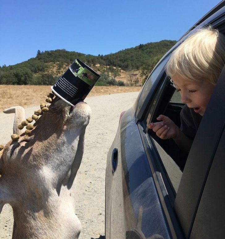 ac7ab05d10904c58e83ca1446e