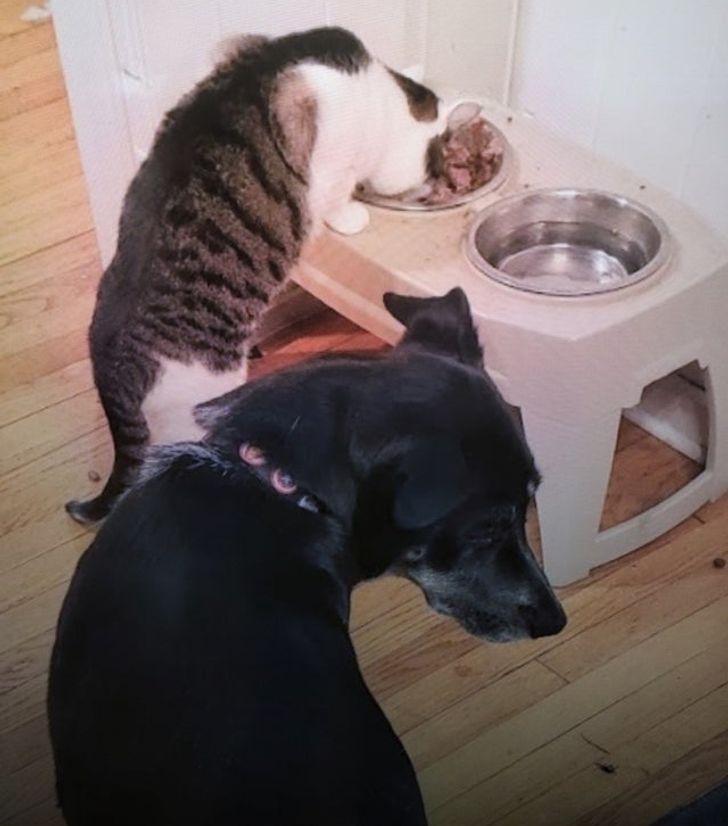 ac83ad52f8a992ef909ef46f25