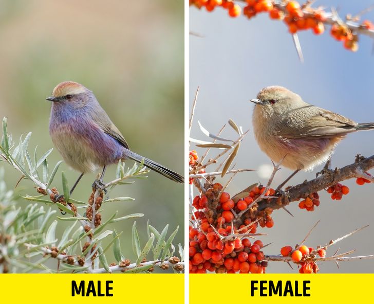 ac87b35f46a8e27d0028bd34dd