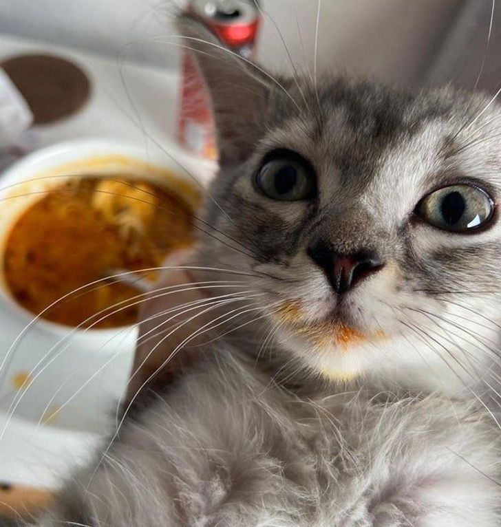 ac89b259ecb7ac97c9ec1be0da