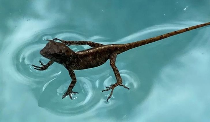 ac8a805a138d23b70cd3aa8338